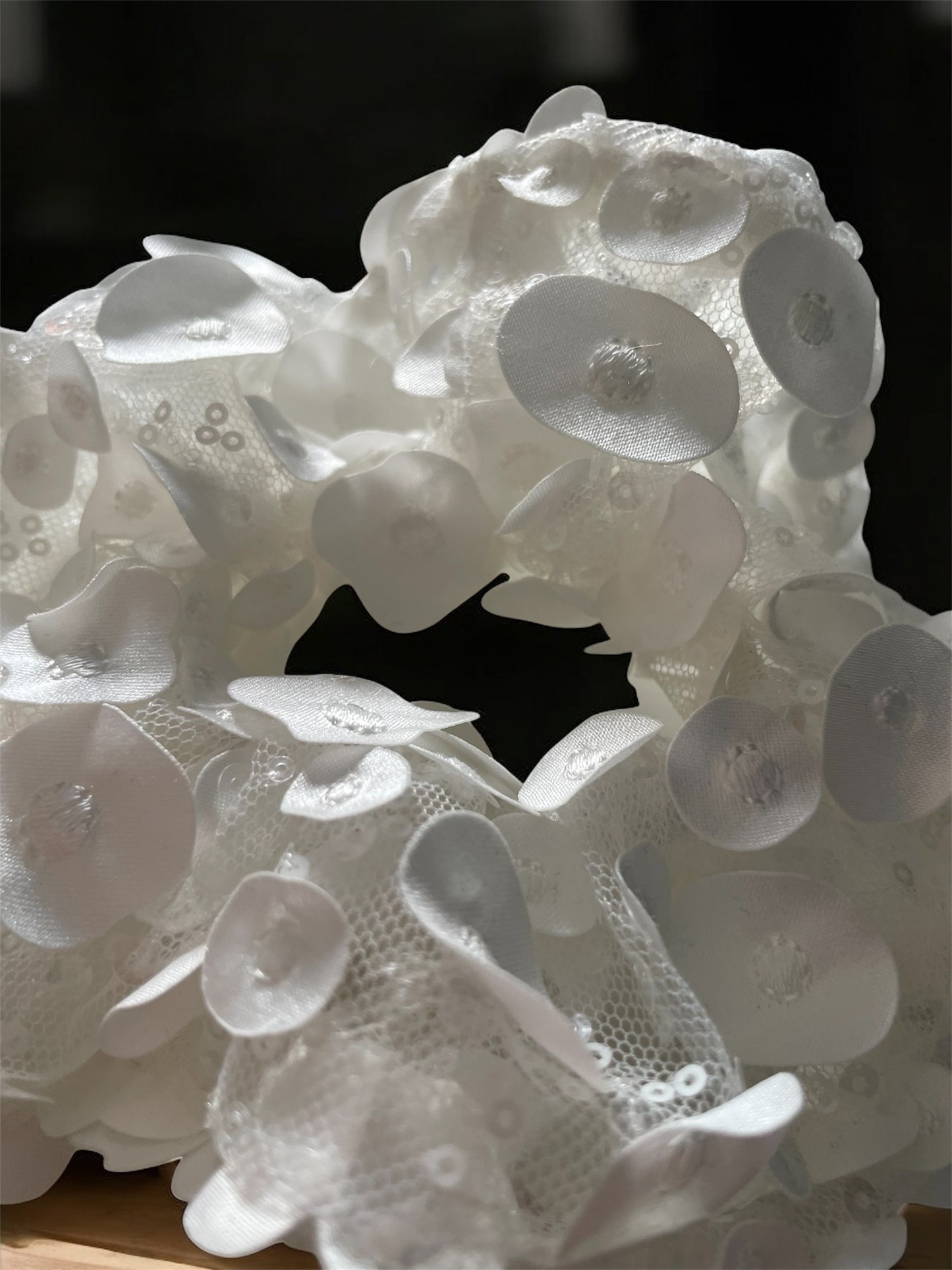 Le chouchou Cassiopée